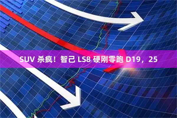 SUV 杀疯！智己 LS8 硬刚零跑 D19，25