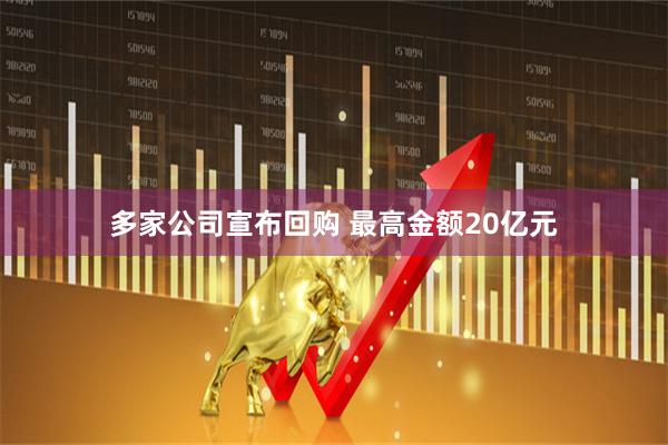 多家公司宣布回购 最高金额20亿元